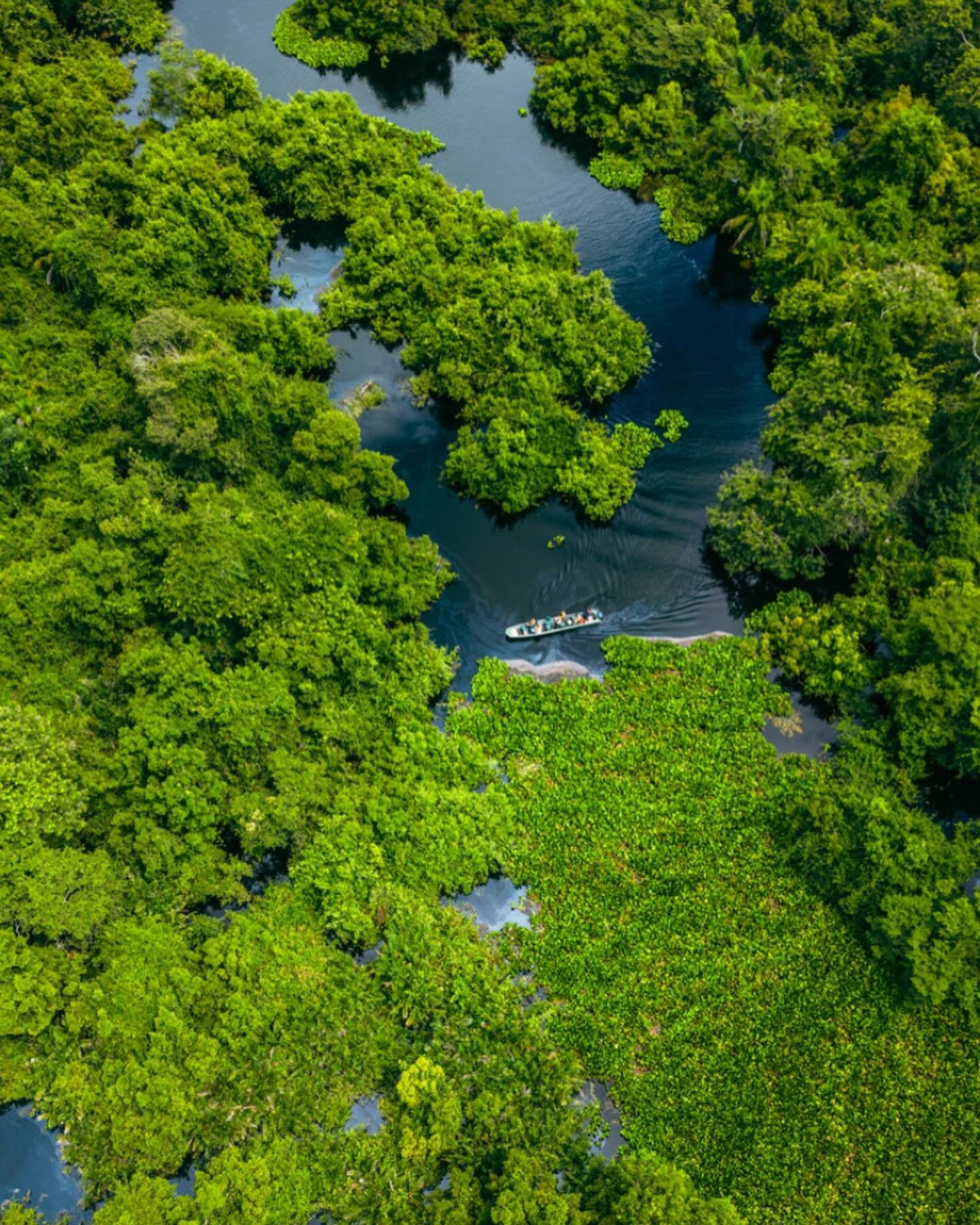 Projeto Rio Salobra Pantanal