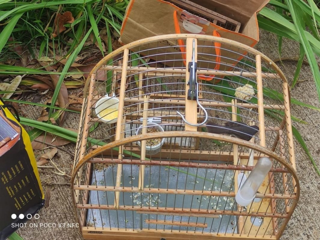 foto colorida de resgate feito pela Polícia Ambiental de duas aves silvestres usadas como isca por caçadores em Presidente Prudente - Metrópoles