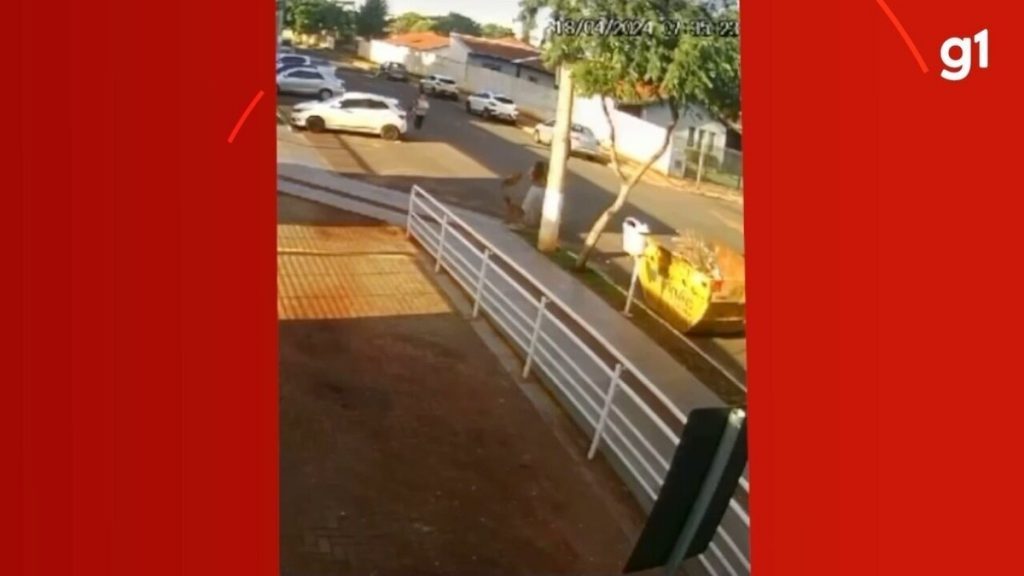 Cachorrinha é ferida gravemente após ataque de animal na rua; vídeo mostra mordidas e desespero da tutora | Mato Grosso do Sul